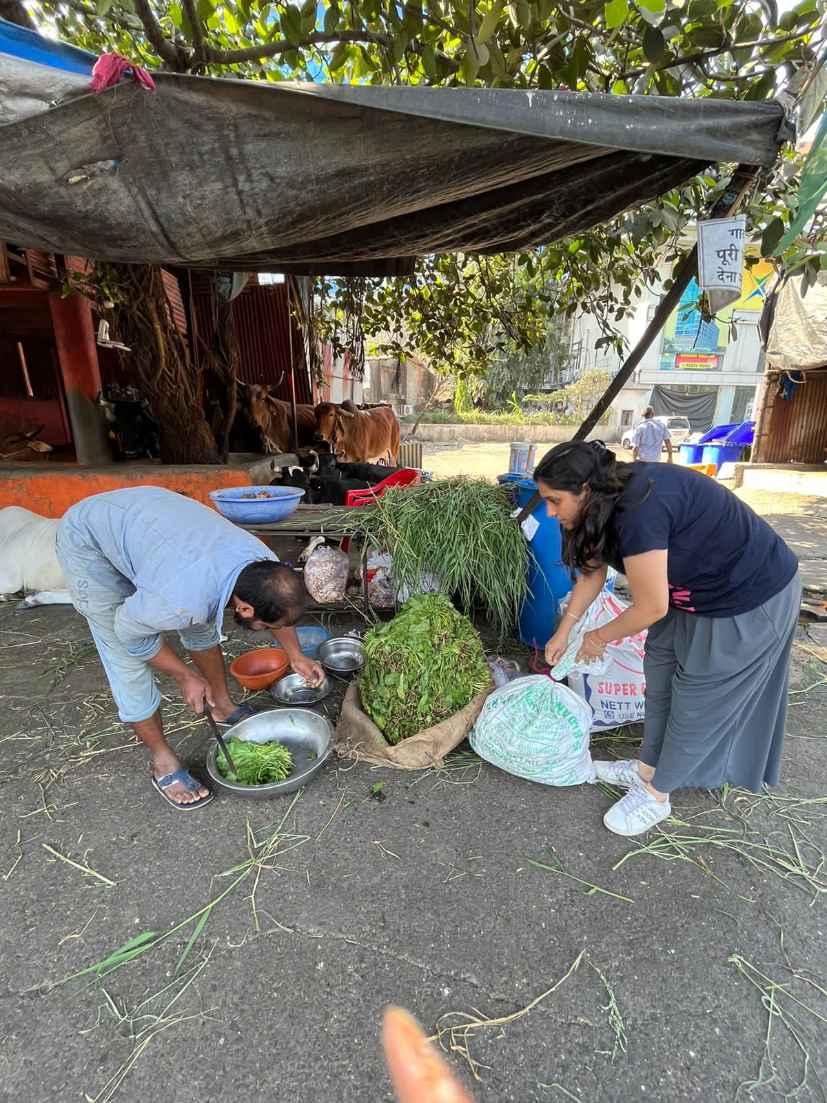 Karmyoga Foundation gallery