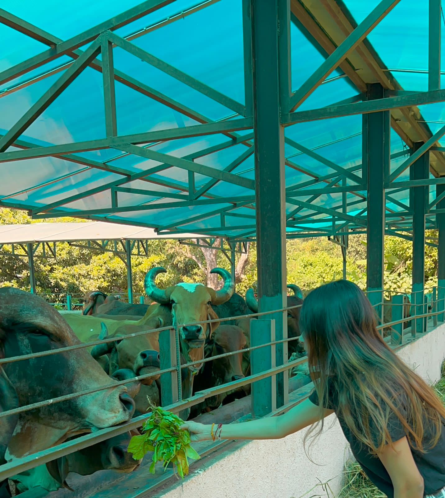 Karmyoga Foundation gallery